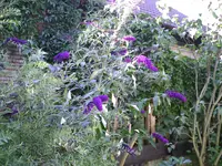PIC00023.webp