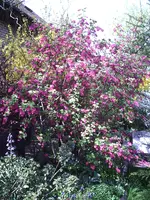 PIC00157.webp