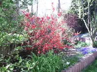PIC00160.webp