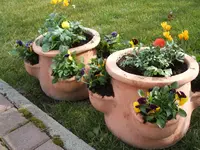 Garten 040.webp