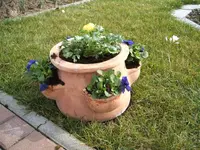 Garten 041.webp