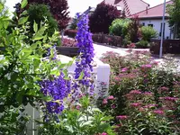 PIC00016.webp