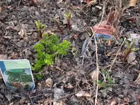 DSCN5671.webp