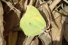 DSC03457.webp