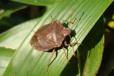 DSC03480(1).webp