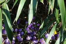 DSC03514.webp