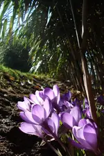 DSC03523.webp