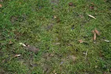 IMG_2293.webp