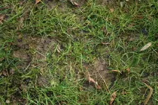 IMG_2296.webp