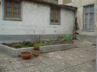 Garten 23.03.2009 036.webp