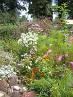 gartenbilder 009.webp
