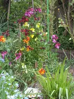 gartenbilder april2008 058.webp