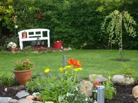IMGP2555.webp
