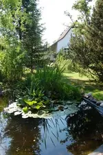 Haus_06_2008_06.webp