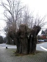 In Schwabach unterwegs 034.webp