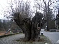 In Schwabach unterwegs 035.webp