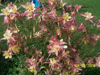 100_8124kleiner.webp
