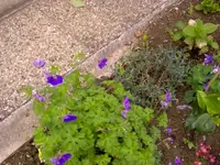 blaue kleine polster.jpg