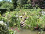 blick auf den teich-02-juni 2008.JPG