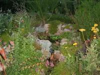 01-so sah der kl.teich mal aus.webp