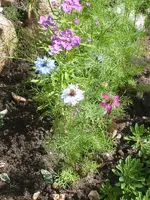 bild neu 042.webp