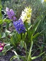 23-04-08_1215.jpg