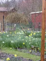 garten 3-08 010.webp