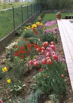 foto (1) (kopie).webp