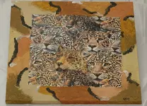 Afrika Leoparden 40x40 cm.webp
