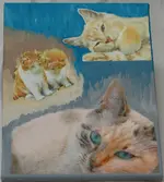 Katzen 30x40 cm.webp