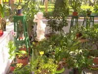 Wintergarten 2.webp