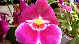 K640_P1000002-Kritzmow 2008 (7).webp