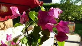 K640_K800_P1000002-Kritzmow 2008 (6).webp