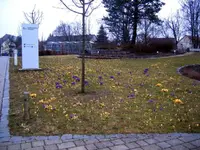 Untermir ist seit 17.03. wieder im Spital 004.webp