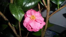 K640_P1010741.webp