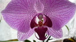 K640_P1010754.webp