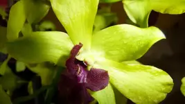 K640_P1010725.webp
