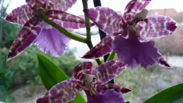 K640_P1010750.webp