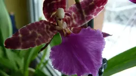 K640_P1010728.webp