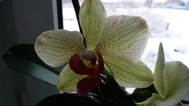 K640_P1010735.webp