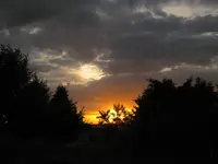06 004.webp
