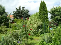 Arbeiten an der Ostflanke.webp