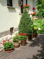 Entreé-anderer Blick.webp