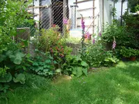 Langsam verschwindet der Draht.webp