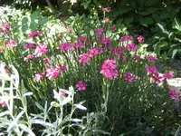 BILD1449.webp