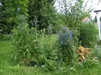 BILD1463.webp