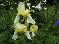 BILD1510.webp