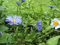 BILD1508.webp