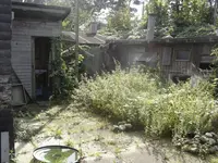DSC08542.webp