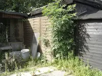 DSC08543.webp